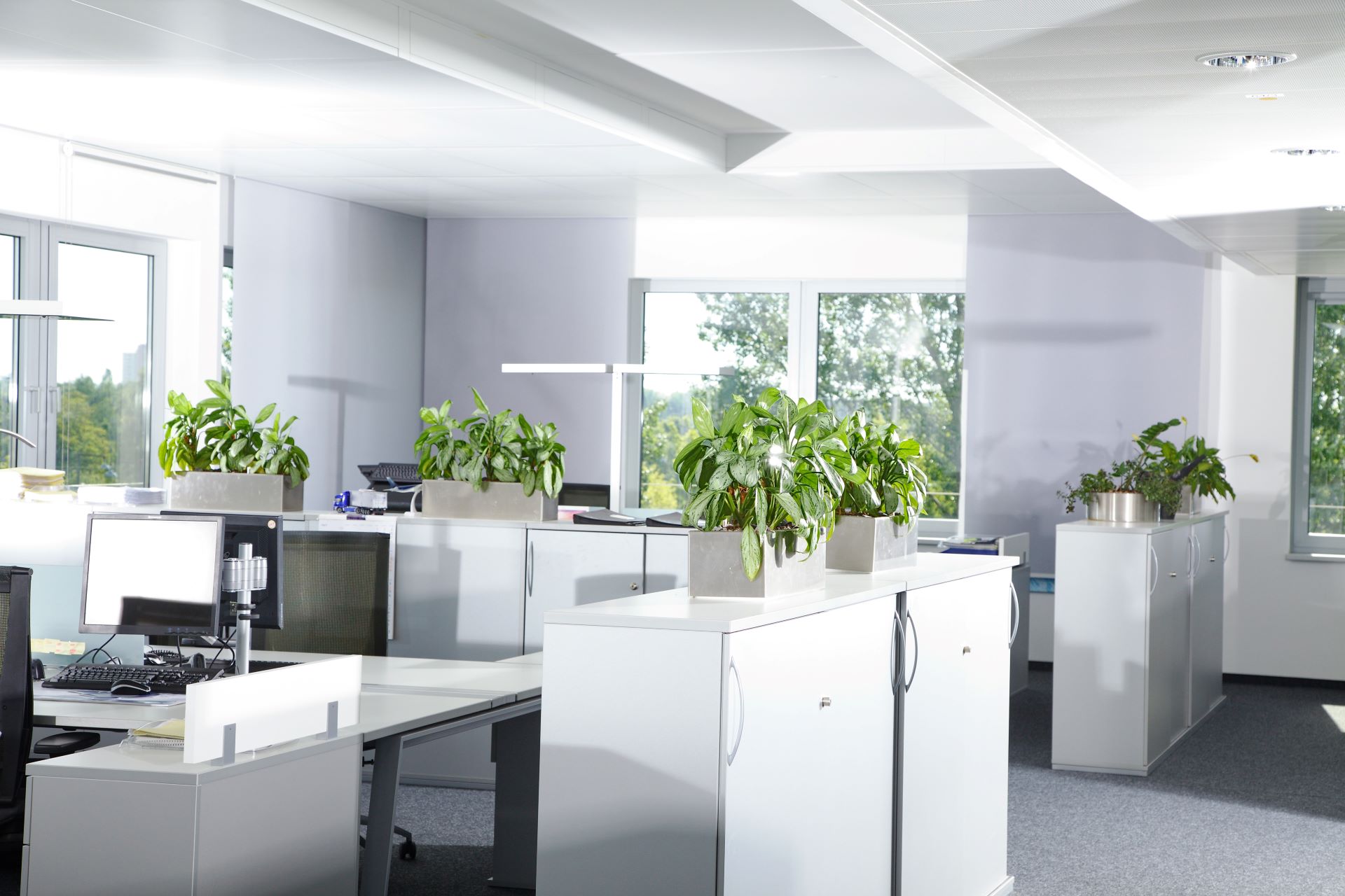 Resume Writing Services Jandabup WA